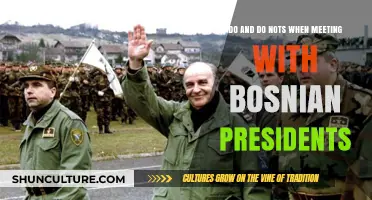 Meeting Bosnia's Presidents: Essential Etiquette and Cultural Do's and Don'ts