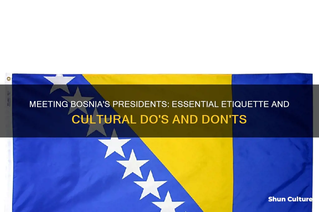 do and do nots when meeting with bosnian presidents
