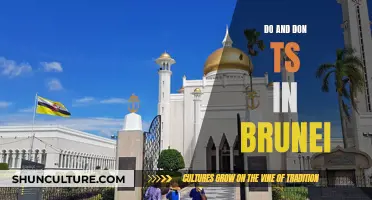 Brunei's Unique Customs: The Essential Do's and Don'ts