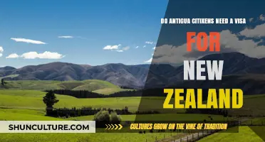 Do Antigua Citizens Need a Visa for New Zealand?