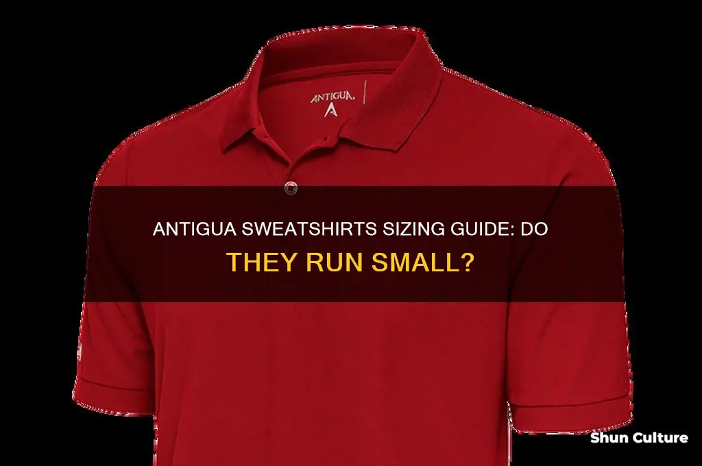 do antigua sweatshirts run small