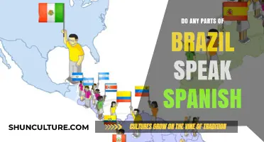Does Brazil Speak Spanish? Unraveling Language Myths in South America