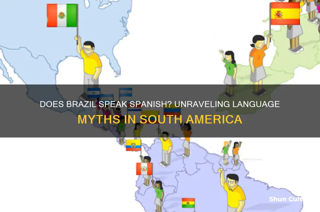 do any parts of brazil speak spanish