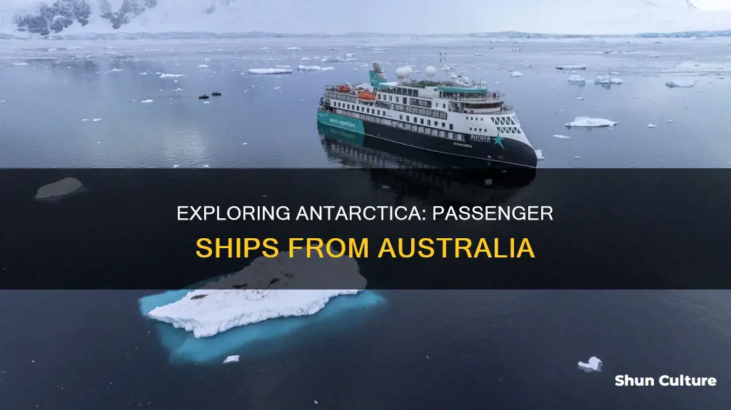 do any passenger ships travel from australia to antarctica