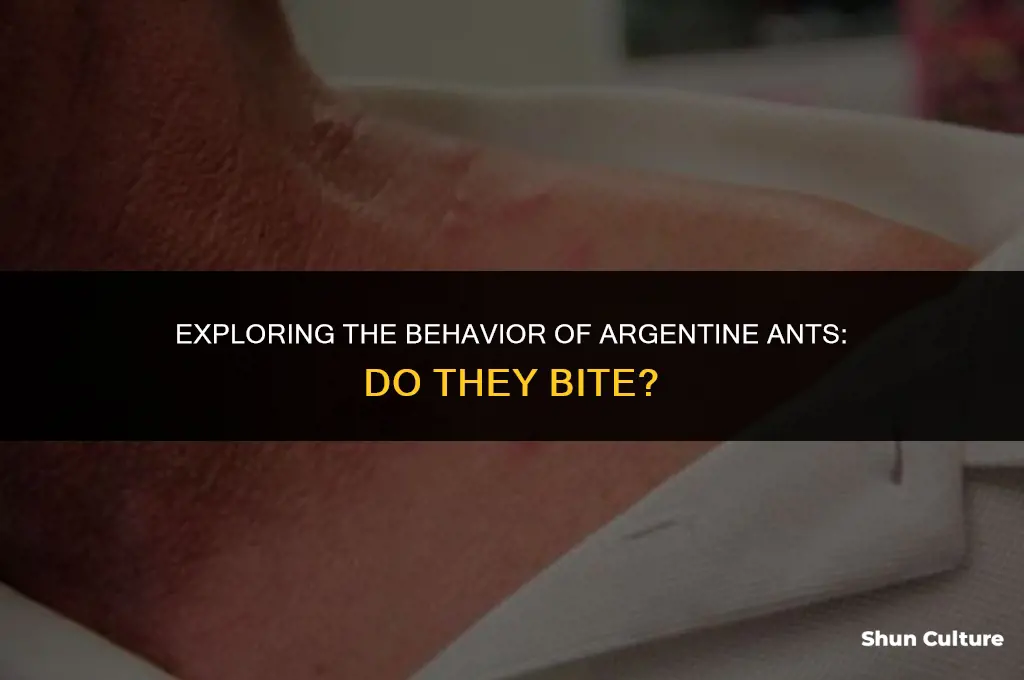 do argentine ants bite