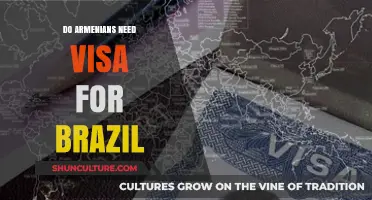 Do Armenians Need a Visa for Brazil? Travel Requirements Explained