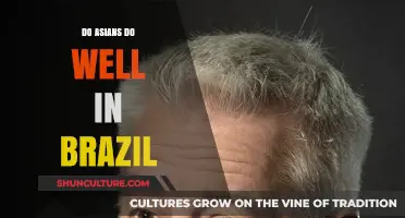 Asian Success in Brazil: Cultural Integration and Economic Achievements Explored