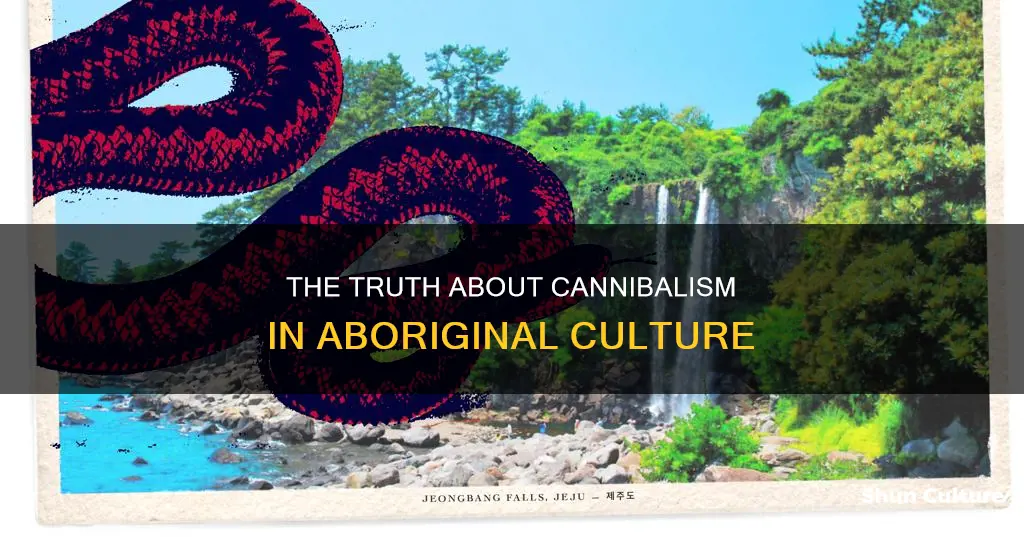 do australian aborigines eat people
