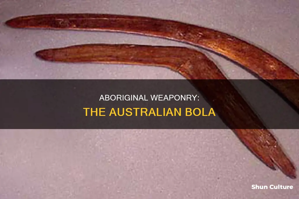 do australian aborigines use something like the bola