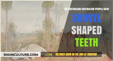 The Mystery of Shovel-Shaped Teeth in Australian Populations