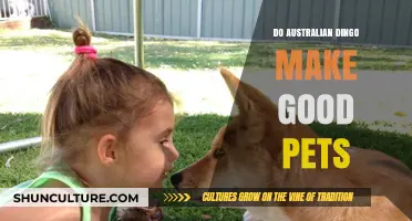 Taming the Wild: Are Australian Dingoes Good Pets?