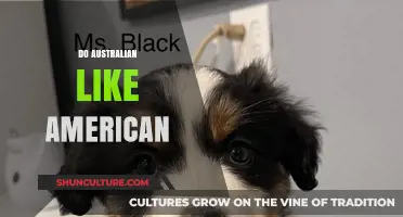 Americans in Australia: Liked or Loathed?