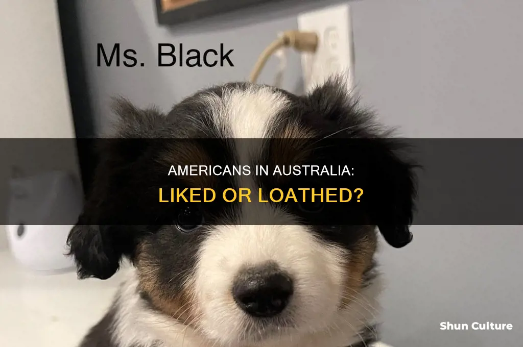 do australian like american