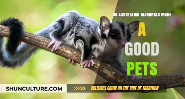 Australian Mammals: The Perfect Pet?