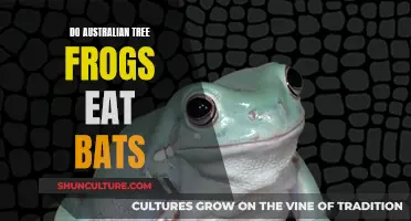 Tree Frogs and Bats: Unlikely Prey?