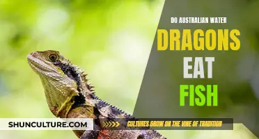 Water Dragon Diet: Fish Friends or Foes?