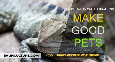 Water Dragon Pet Ownership: Is It Right for You?