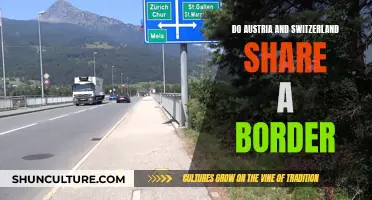 Bordering Countries: Austria and Switzerland's Shared Boundary