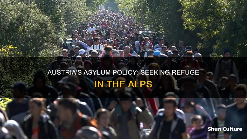 do austria gives asylum seeker