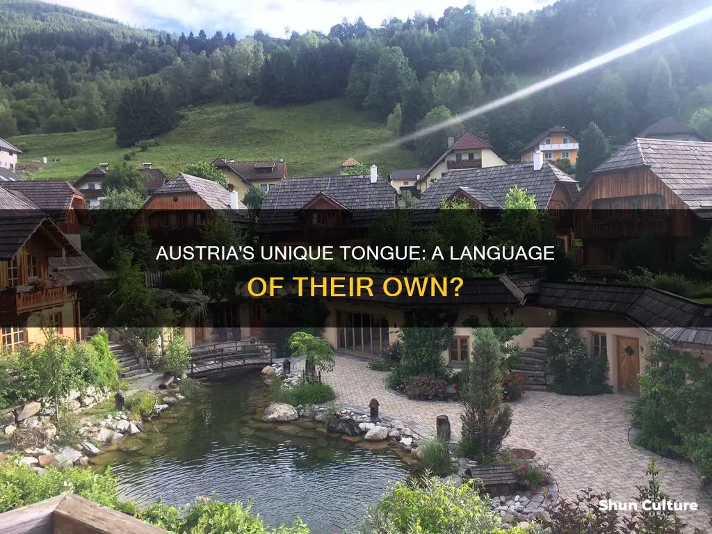 do austria have their own language