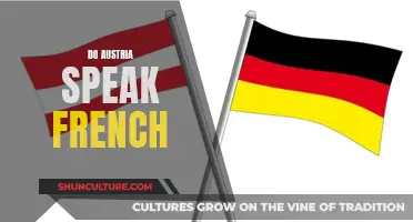 Austria's French-Speaking Regions: A Linguistic Surprise