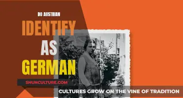 Austria and Germany: Cultural Identity and Historical Ties