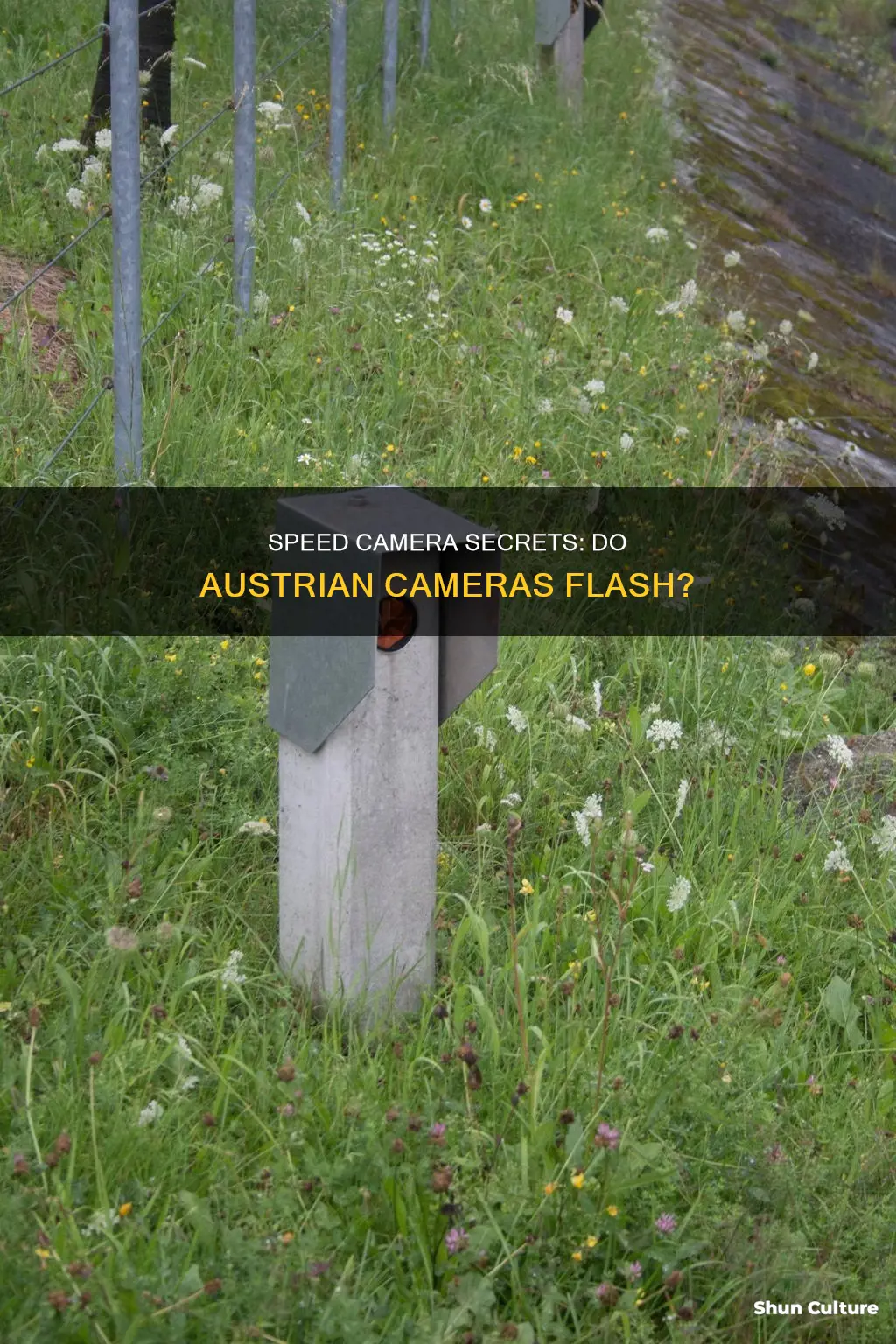 do austrian speed cameras flash