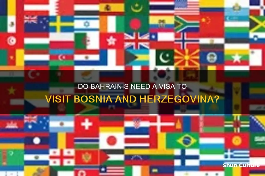 do bahraini need visa to bosnia