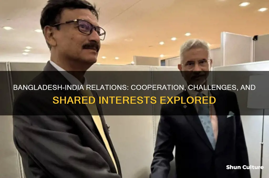 do bangladesh and india get along