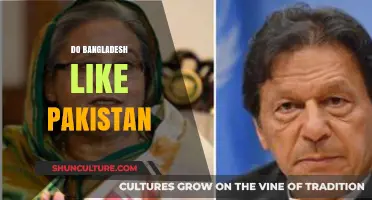 Bangladesh-Pakistan Relations: Historical Bonds, Modern Dynamics, and Mutual Perceptions