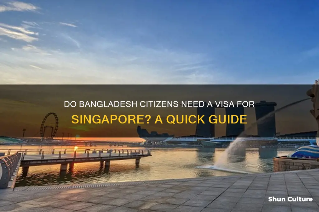 do bangladesh need visa for singapore