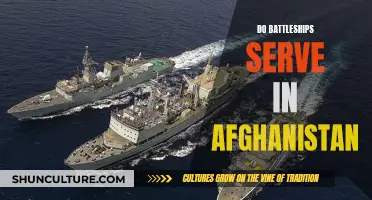 The Unsuitability of Battleships for Afghanistan's Terrain: A Strategic Analysis