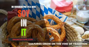 Bavarian Pretzels: Soy-Free Snacking Delights?