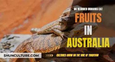 Bearded Dragons and Fruit: An Australian Reptile's Diet