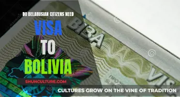 Visa Requirements for Belarusians Traveling to Bolivia