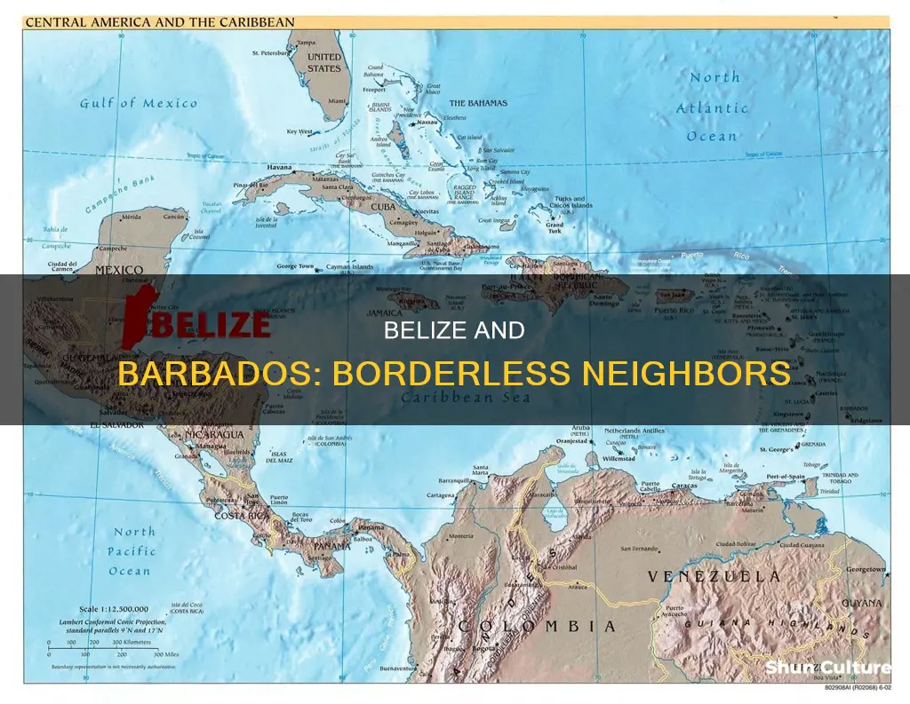 do belize and barbados share a border