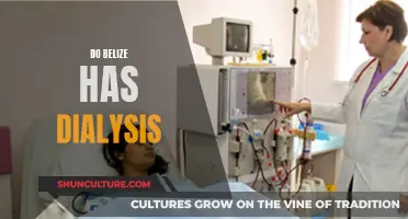 Dialysis in Belize: What Are Your Options?