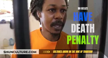 Belize's Death Penalty: A Matter of Life and Law