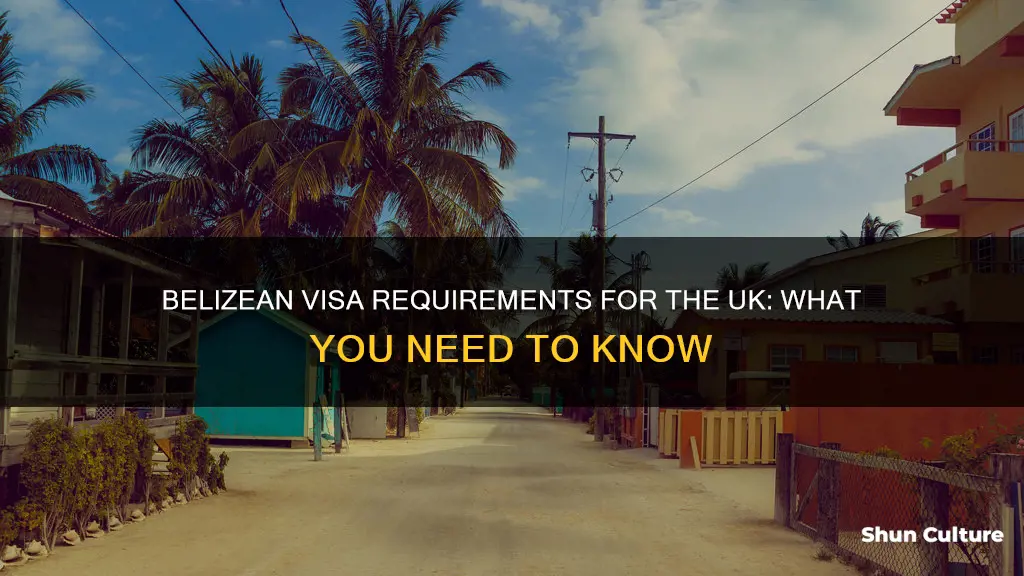 do belizean need visa to uk