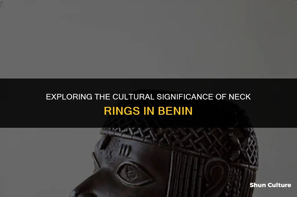 do benin people where neck rings