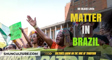 Black Lives in Brazil: Uncovering Racial Inequality and the Fight for Justice