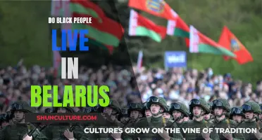 Black People in Belarus: Who and Where?