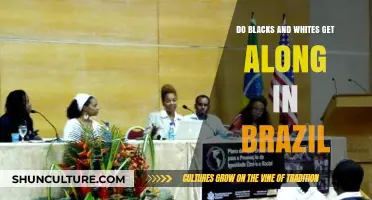 Brazil's Racial Harmony: Exploring Black-White Relations in a Diverse Nation