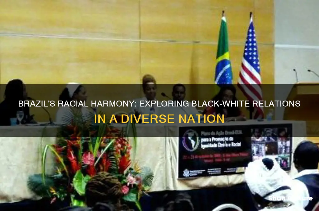 do blacks and whites get along in brazil