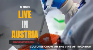 Black Austrians: Living in Austria as a Black Person