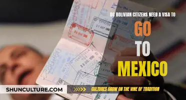 Visa Requirements for Bolivian Citizens Visiting Mexico