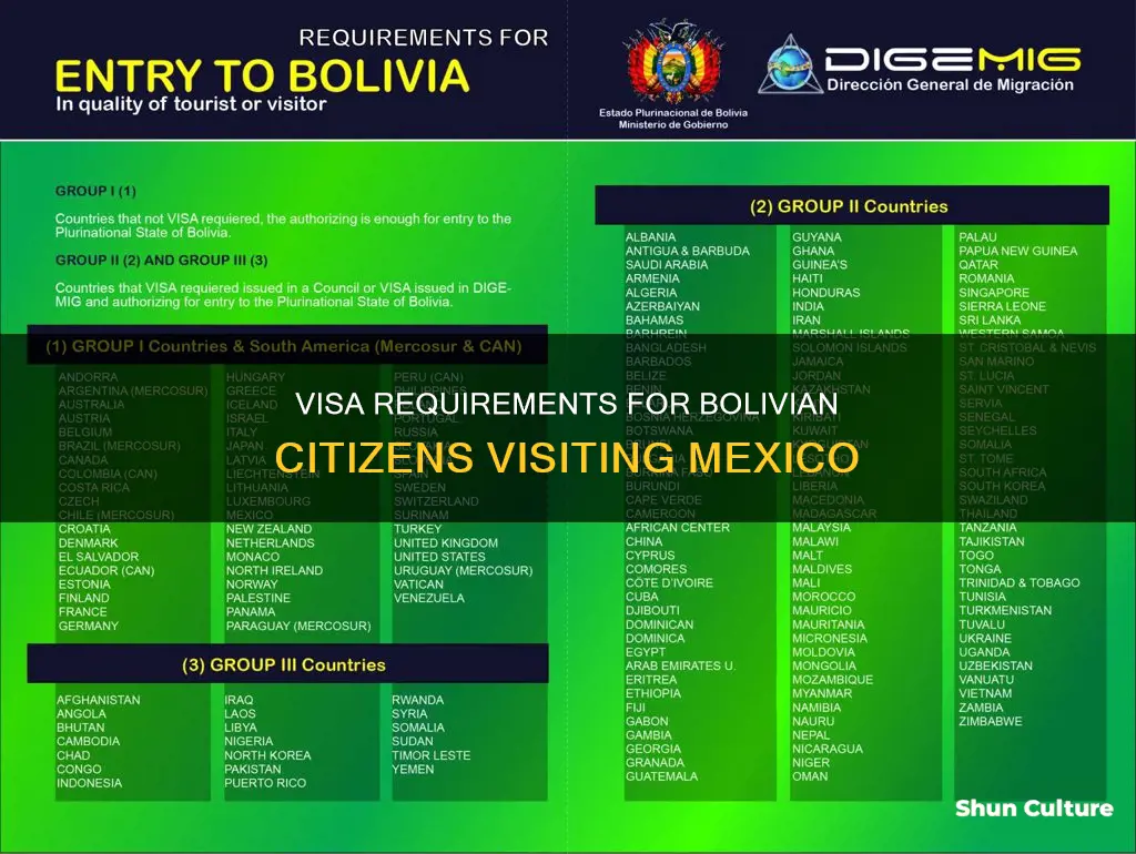 do bolivian citizens need a visa to go to mexico