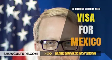 Bosnian Citizens Traveling to Mexico: Visa Requirements Explained