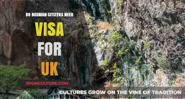 Do Bosnian Citizens Need a UK Visa? Travel Requirements Explained