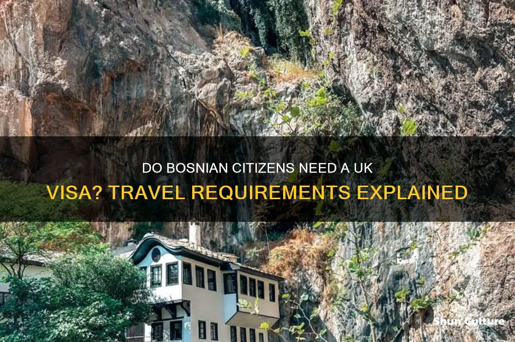 do bosnian citizens need visa for uk